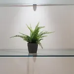 Primopiano - Copernico 49 * Milan